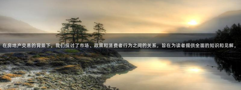 和记怡情博物官网：在房地产交易的背景下，我们探讨了市场、政策