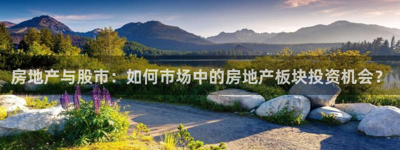和记娱技精h88285官网：房地产与股市：如何市场中的房地产