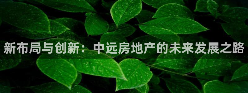 和记官网和记：新布局与创新：中远房地产的未来发展之路
