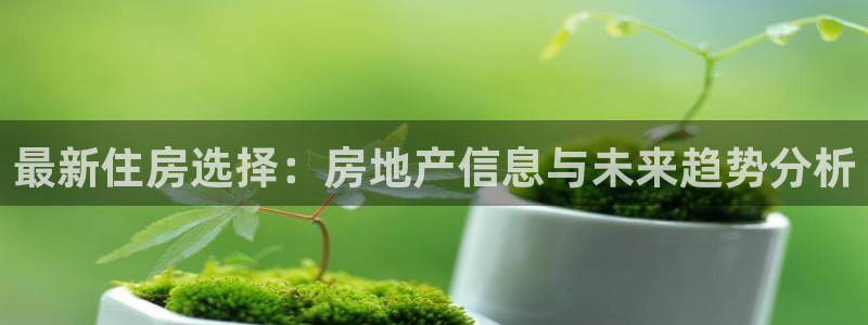 毛记和意冒菜官网加盟：最新住房选择：房地产信息与未来趋势分析