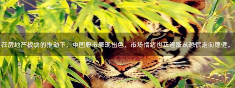 官网和记通讯：在房地产板块的推动下，中国股市表现出色，市场情