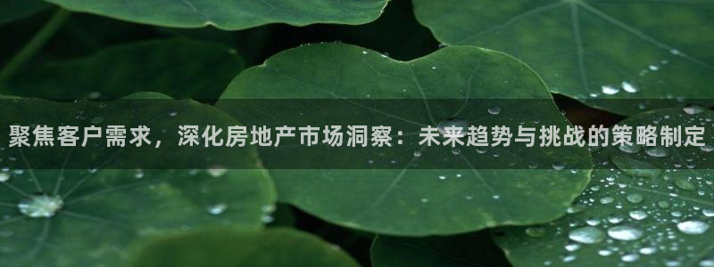 和记官网怡情娱乐：聚焦客户需求，深化房地产市场洞察：未来趋势