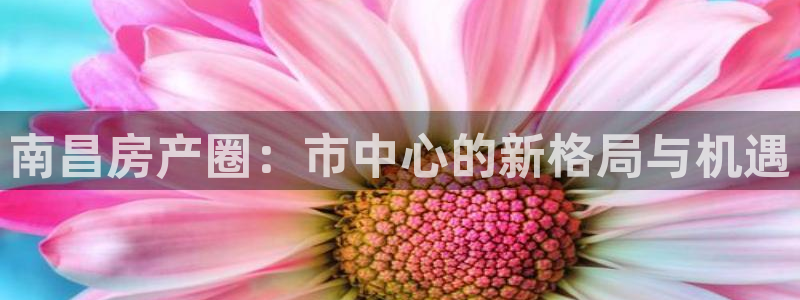 和记怡情博物官网：南昌房产圈：市中心的新格局与机遇