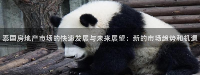和记开户官网：泰国房地产市场的快速发展与未来展望：新的市场趋