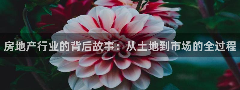 广州和记黄埔官网：房地产行业的背后故事：从土地到市场的全过程