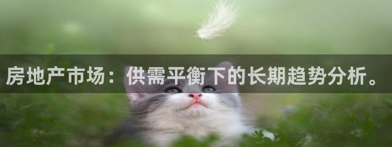 和记app官网：房地产市场：供需平衡下的长期趋势分析。