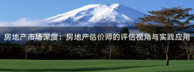 下载和记官网：房地产市场深度：房地产估价师的评估视角与实践应
