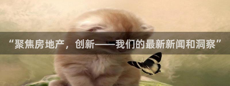 和记娱乐app官网：“聚焦房地产，创新——我们的最新新闻和洞