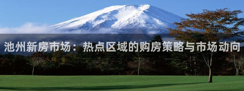 毛记和意冒菜官网加盟：池州新房市场：热点区域的购房策略与市场