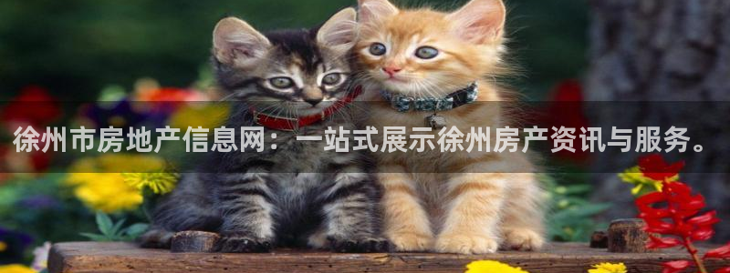 和记怡情博娱官网：徐州市房地产信息网：一站式展示徐州房产资讯